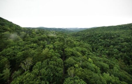 آن چه تنوع زیستی ایران را تهدید می‌کند؛ قوانین بایگانی می‌شود!