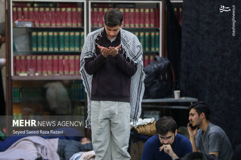 دانشگاه تهران