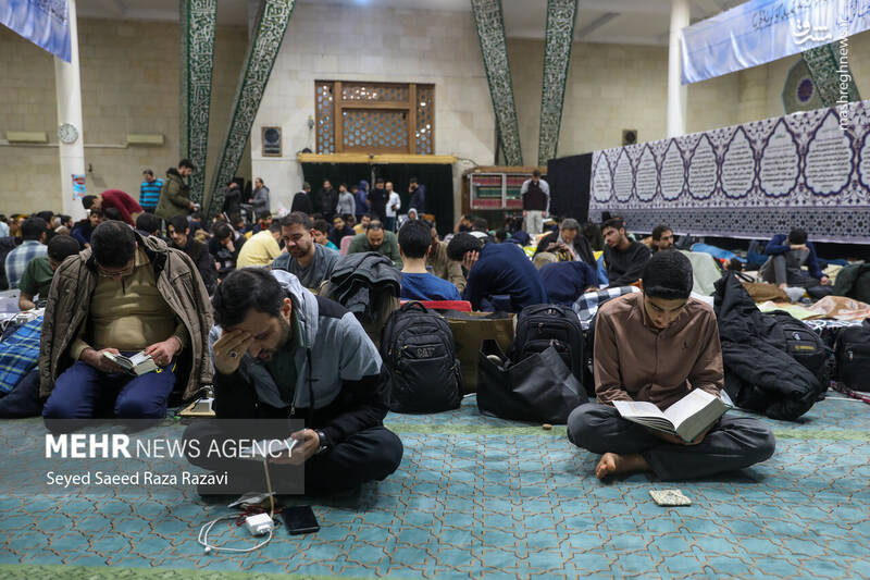 دانشگاه تهران