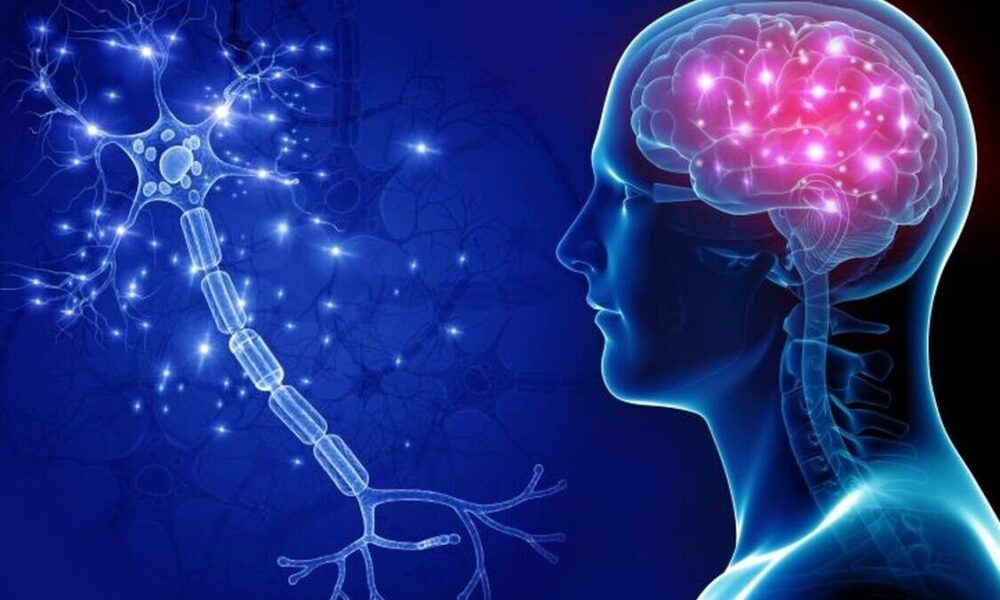 چرا مغز دربرابر تصمیم‌های ناگهانی واکنش نشان می‌دهد؟