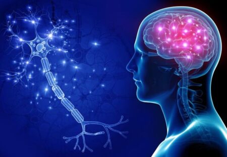 چرا مغز دربرابر تصمیم‌های ناگهانی واکنش نشان می‌دهد؟