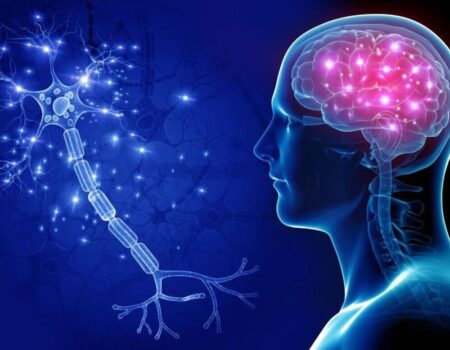 چرا مغز دربرابر تصمیم‌های ناگهانی واکنش نشان می‌دهد؟