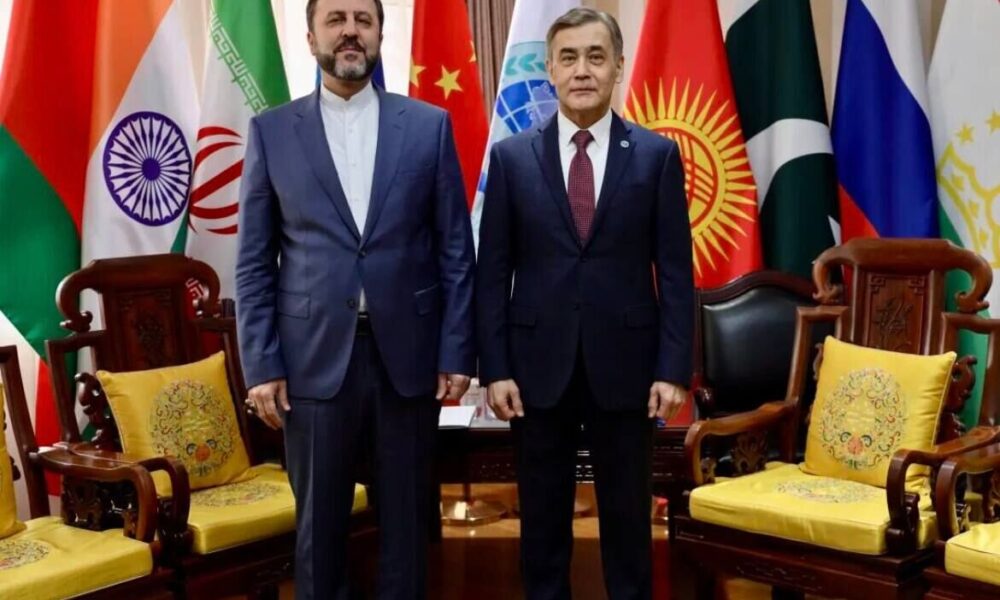 غریب‌آبادی با دبیرکل سازمان همکاری شانگهای دیدار کرد