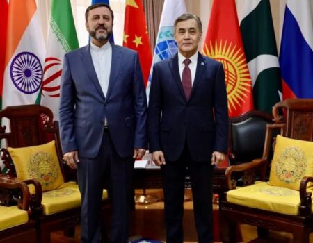 غریب‌آبادی با دبیرکل سازمان همکاری شانگهای دیدار کرد