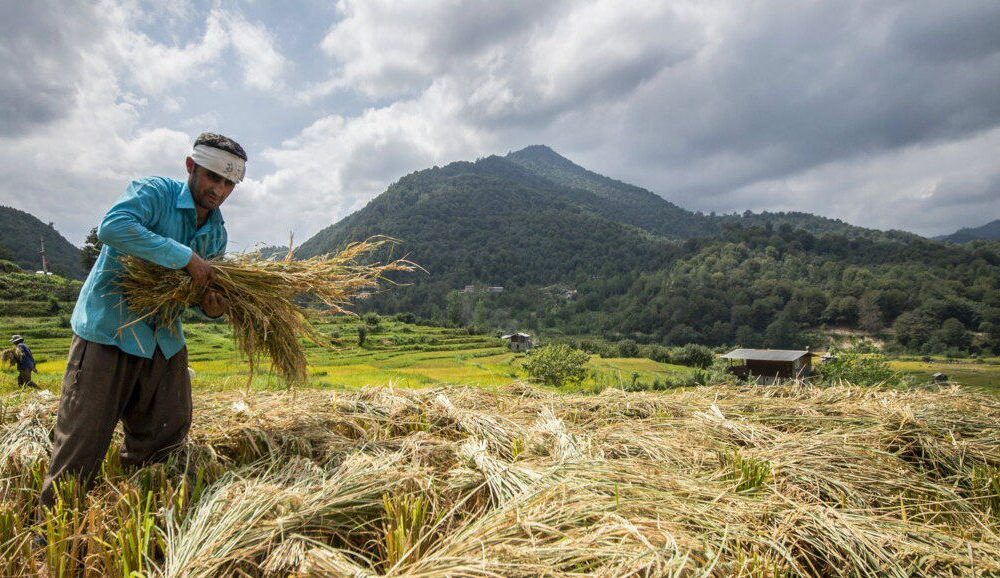 مستمری روستاییان تا خرداد ۱۴۰۵ متناسب می‌شود