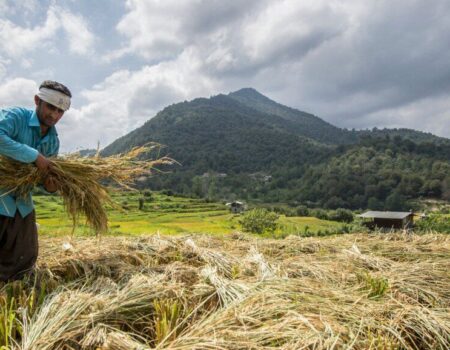 مستمری روستاییان تا خرداد ۱۴۰۵ متناسب می‌شود