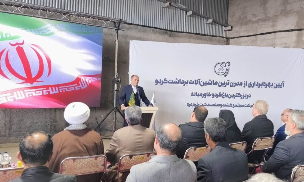 ارز ترجیحی انگیزه تولید را از بین می‌برد