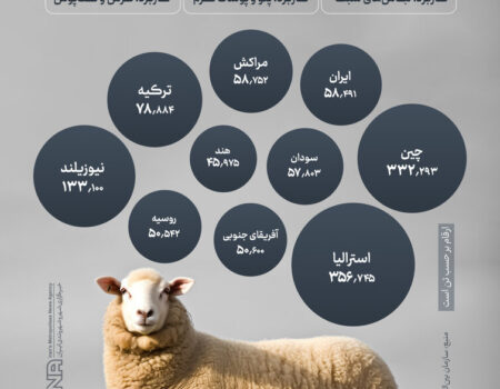 ۱۰ کشور برتر جهان در تولید پشم را بشناسید