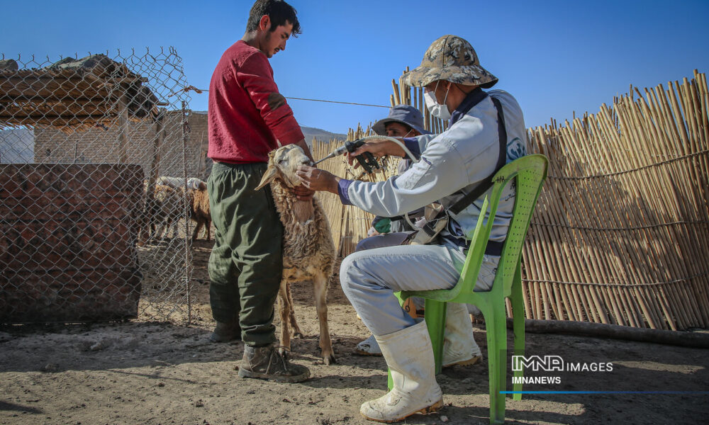 مرمت سالانه ۳هزار کیلومتر جاده عشایری اصفهان/سهم ۲۸ درصدی عشایر در تولید گوشت قرمز