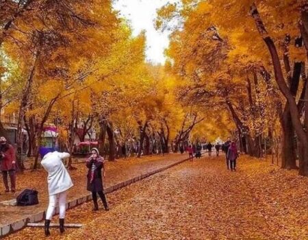 این چهارباغ تماشایی نیست