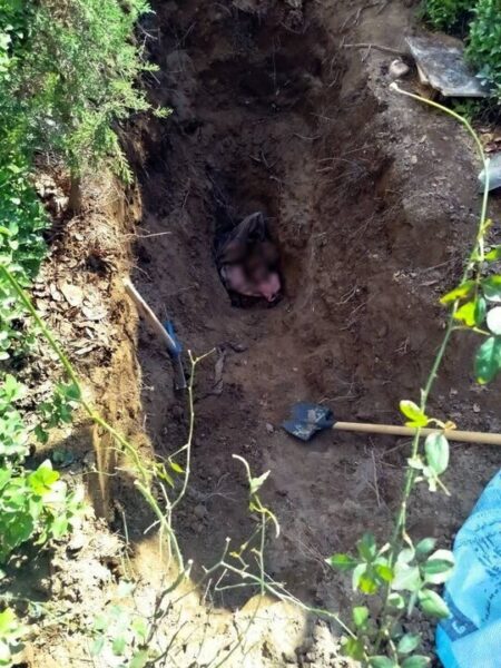 همسرکشی زن خیانتکار بعد از ۴ سال لو رفت +تصویر مقتول