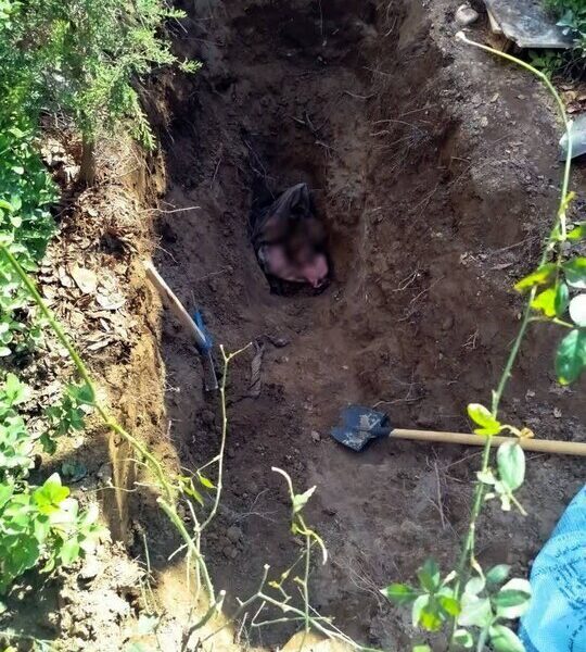 همسرکشی زن خیانتکار بعد از ۴ سال لو رفت +تصویر مقتول