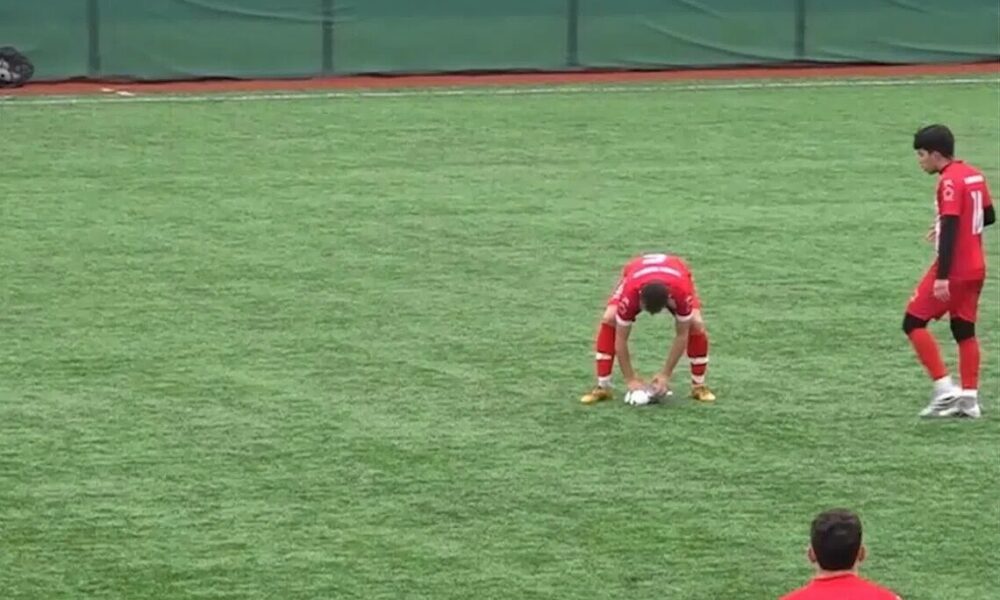 شوت دروازه‌بان مرغ دریایی را وسط بازی ساقط کرد! +ویدیو