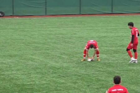 شوت دروازه‌بان مرغ دریایی را وسط بازی ساقط کرد! +ویدیو